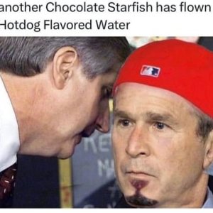 bush0.jpg