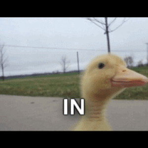 bHHI3.gif