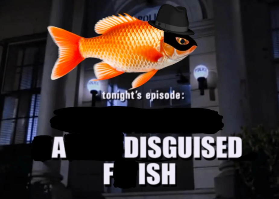 17sdvs4094584sdvsdv77vsdvsd8293.png